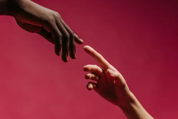 איויילד קזינו תמיכה